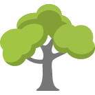 Oakland Tree Removal Service