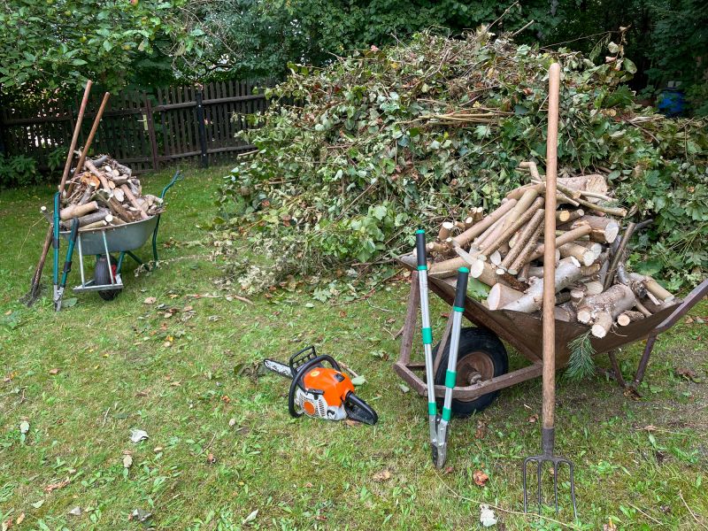 Tree Debris Cleanup